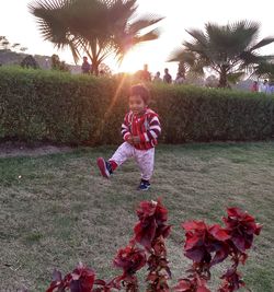 Rear view of boy on field against trees