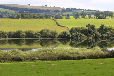 Scenic view of lake and field against trees 