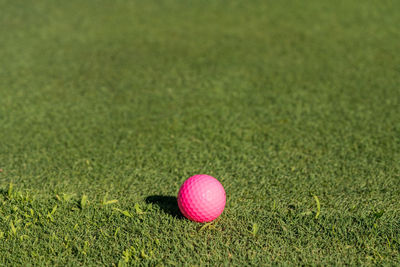 High angle view of ball on golf course