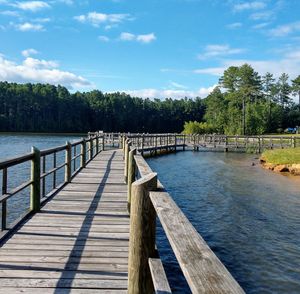 Wooden pier amidst trees against sky