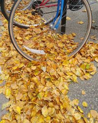 High angle view of fallen leaves on bicycle during autumn