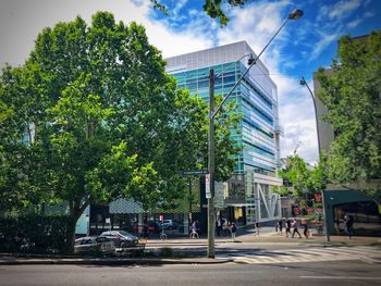 Trees by road against buildings in city