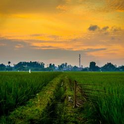 Scenic view of field against cloudy sky