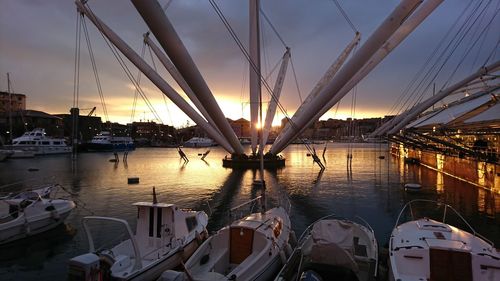 Sailboats moored in harbor at sunset