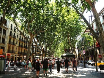 People walking on street amidst trees in city