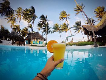 Low angle view of palm tree against swimming pool