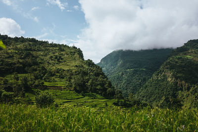 Panoramic view of landscape against sky