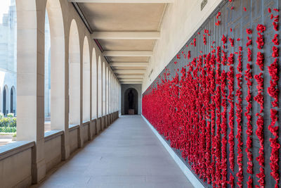 Corridor of building