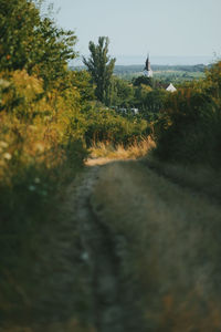 Countryside near lake balaton, hungary