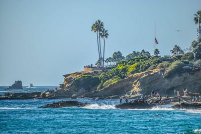 Scenic view of sea and palm trees against clear sky