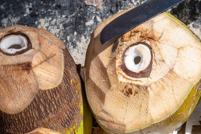 Close-up of human skull