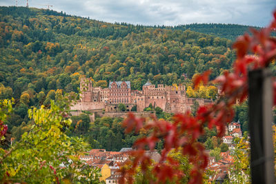 Trees and plants by buildings against sky during autumn