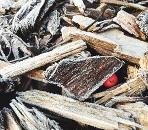 Stack of logs