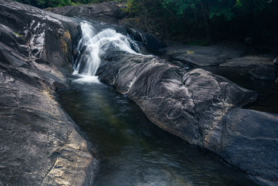 Scenic view of waterfall in forest