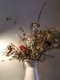 Close-up of potted plant against wall