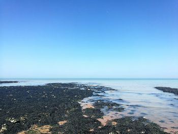 Scenic view of sea against clear blue sky