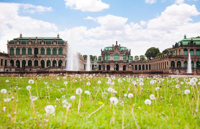 View of flowering plants in front of building