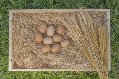 High angle view of eggs in container