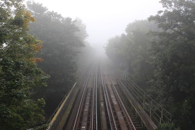 Railroad track in forest