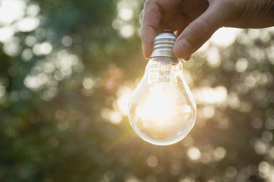 Close-up of person holding light bulb against trees