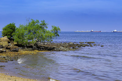 Scenic view of sea against blue sky