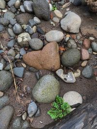 High angle view of pebbles on beach