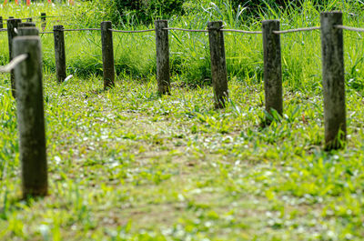 View of wooden fence on field