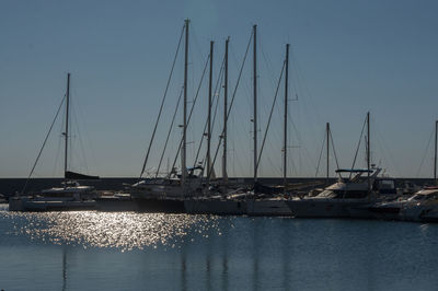 Sailboats moored at harbor against clear sky