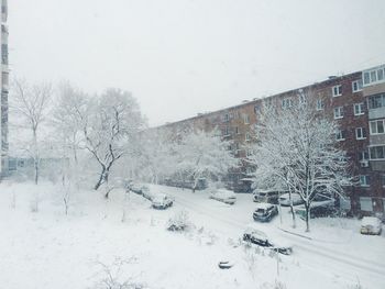 Snow covered buildings by trees during winter