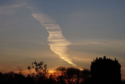 Low angle view of silhouette trees against sky during sunset