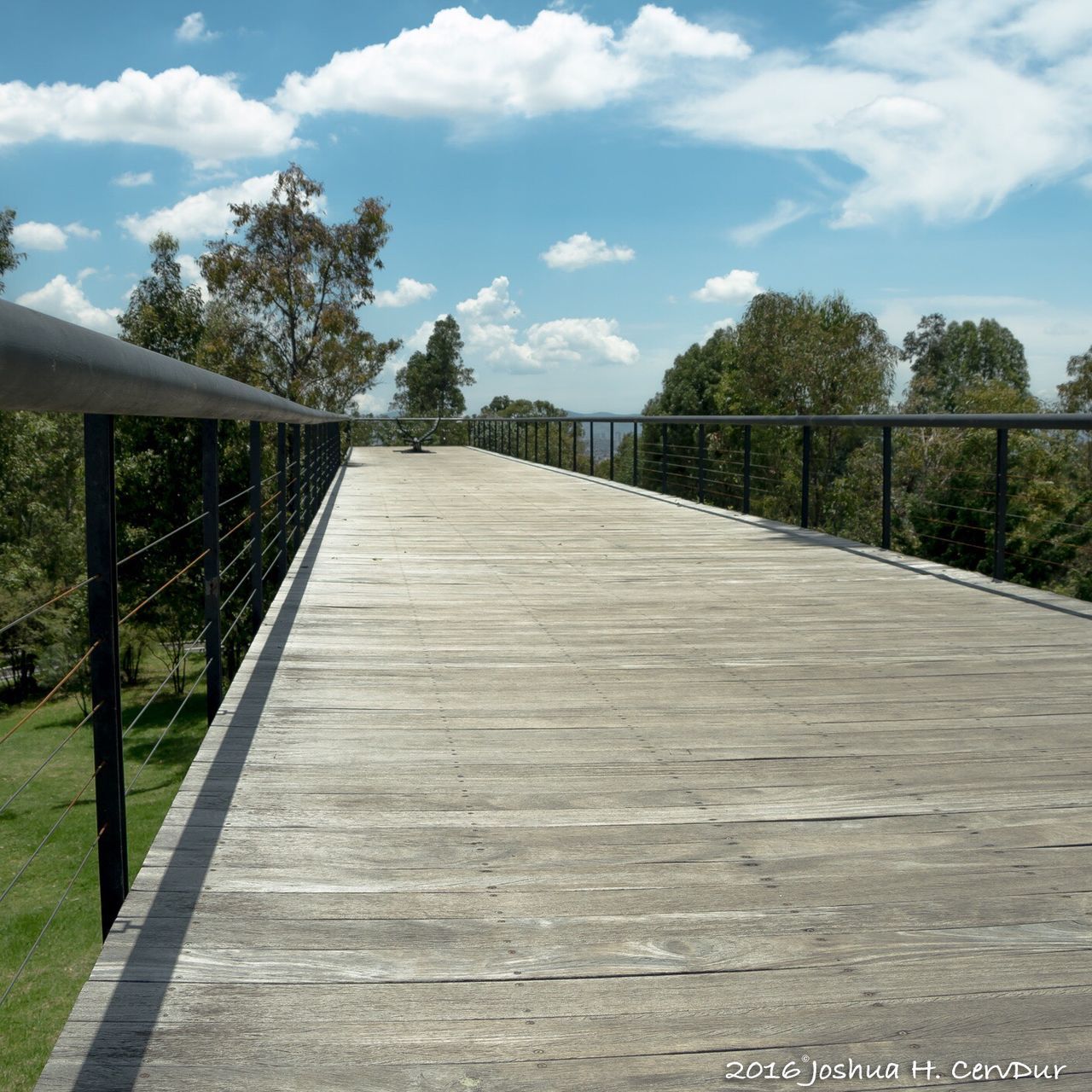 tree, the way forward, sky, railing, cloud, plant, growth, day, tranquility, tranquil scene, footbridge, park - man made space, surface level, narrow, outdoors, walkway, long, nature, cloud - sky, green color, scenics, no people, boardwalk, diminishing perspective, solitude, non-urban scene, wood paneling, formal garden