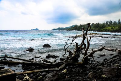 Scenic view of sea against sky