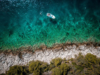 High angle view of coral in sea