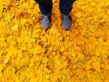 Low section of man standing on yellow autumn leaves