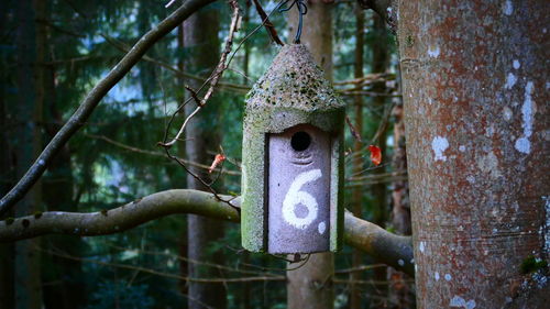 Close-up of birdhouse