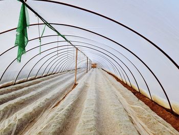 Agricultural tunel