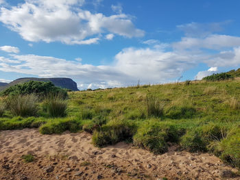 Scenic view of field against sky