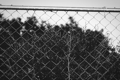 Chainlink fence seen through chainlink fence