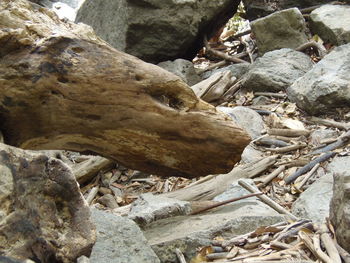 Rocks on rock formation