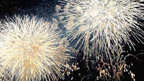 Low angle view of firework display at night