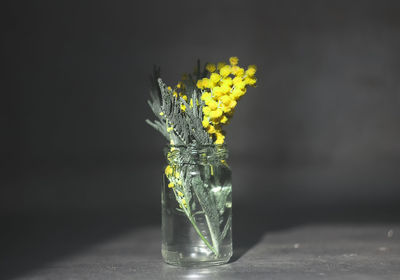 Close-up of yellow flower in vase on table