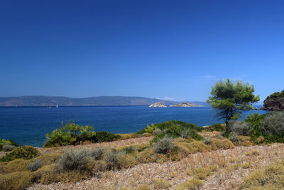 Scenic view of sea against clear blue sky