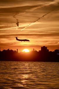 Silhouette of birds flying over sea during sunset