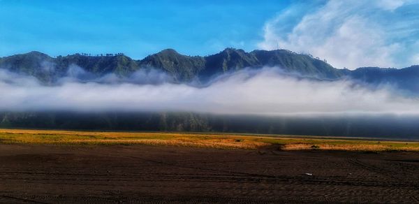 Scenic view of field against sky