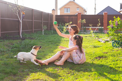 Two dogs on grass in yard