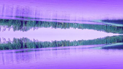 Scenic view of lake against trees