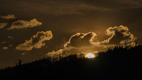 Low angle view of silhouette trees against sky during sunset