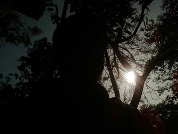 Low angle view of silhouette trees against sky during sunset