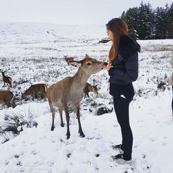 Side view of woman with deer on snow