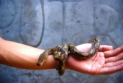 Close-up of hand holding eyeglasses